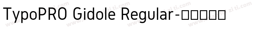 TypoPRO Gidole Regular字体转换
